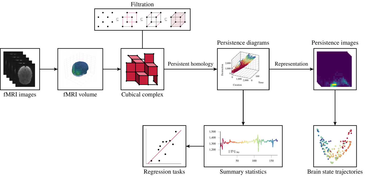 Uncovering the Topology of Time-Varying fMRI Data using Cubical Persistence image
